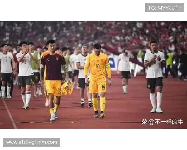 2026美加墨世界杯中国队队员的选拔标准与备战策略全面解读